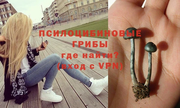 ПСИЛОЦИБИНОВЫЕ ГРИБЫ Беломорск