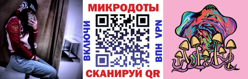 Купить закладки  Богородицк  Галлюциногенные грибы Psilocybe 